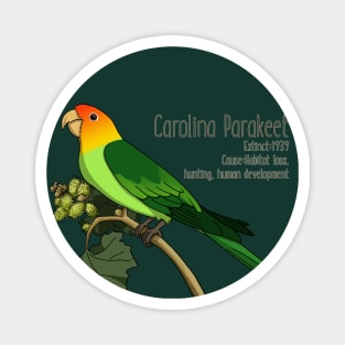 Extinct Species: Carolina Parakeet Magnet